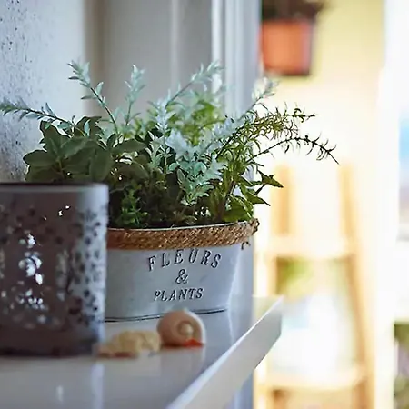 Ocean View * Cascais