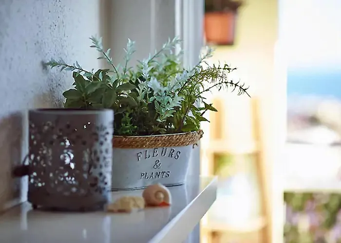 Ocean View * 卡斯凯什